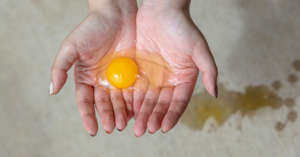 Moon Phase The Moments Between Wax and Wane PhMuseum