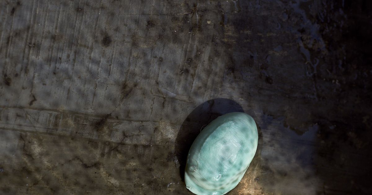 You can even cry in the shower PhMuseum