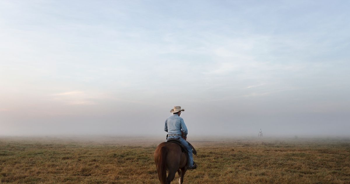 Disappearing Breed PhMuseum