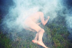 our wild lives