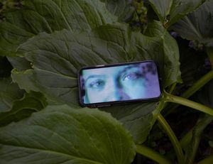 On Dreams and Screens