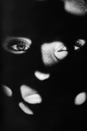 The eye