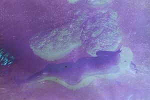Her Body and the Universe