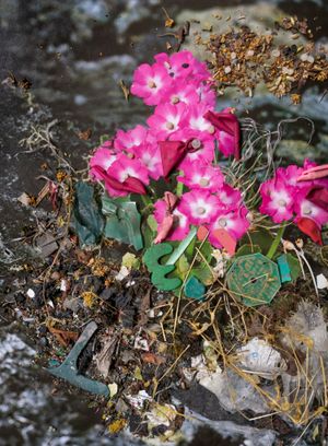 Amalgamated Fragmentations/Plastiverse