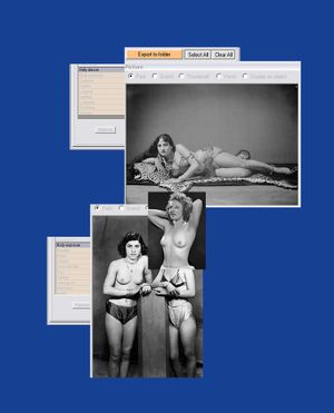 sex’n’database : a corporeal taxonomy