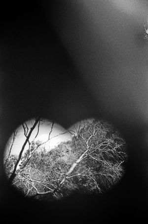 Te vejo (temporary title)