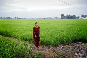 Hidden under an indian sun