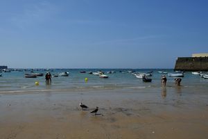 in Cadiz