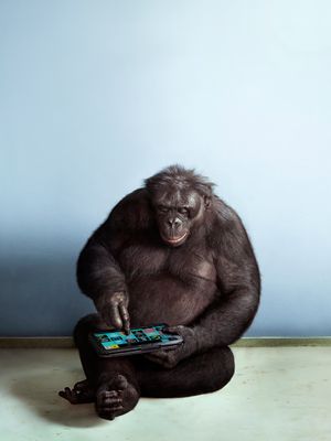 Apes and Apps
