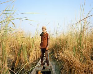 The Disappearing Marshlands of Mesopotamia