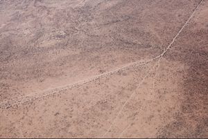 In Somaliland, Recurrent Droughts Threaten Pastoralist Livelihoods