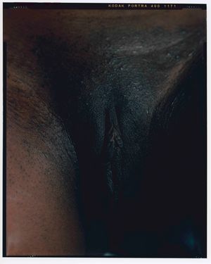 Vulva