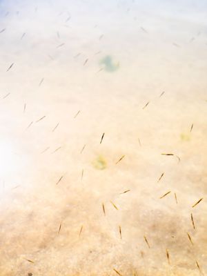 A Guide To September 2023 Photography Festivals