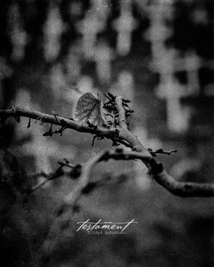 Testament
