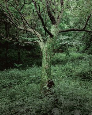 About natural