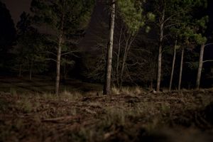 hidden
