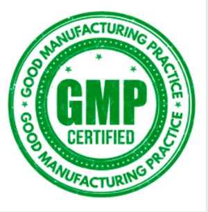 gmp certification