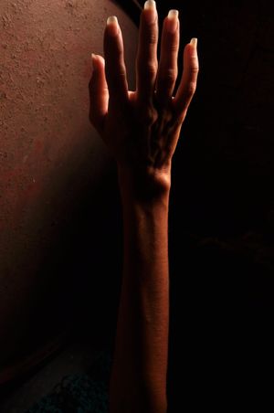 F.Ilha