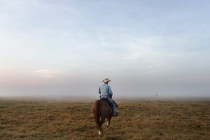 Disappearing Breed