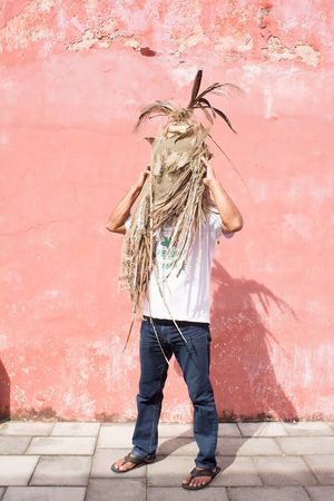 La Cornuda de Tlacotalpan