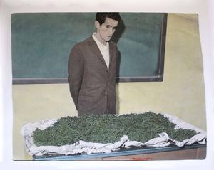 Archivo Muerto