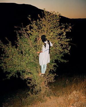 Tabriz to Shiraz