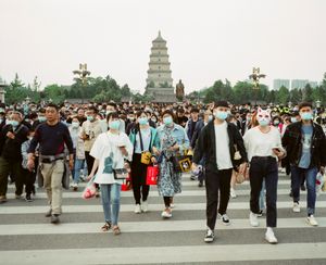 Looking for the distant Tang Dynasty