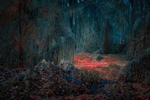 Secret Garden - Realm