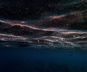 Visible Darkness