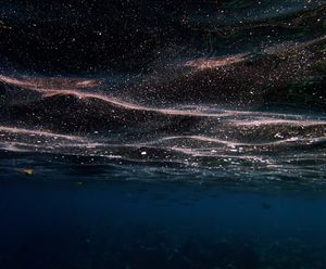 Visible Darkness