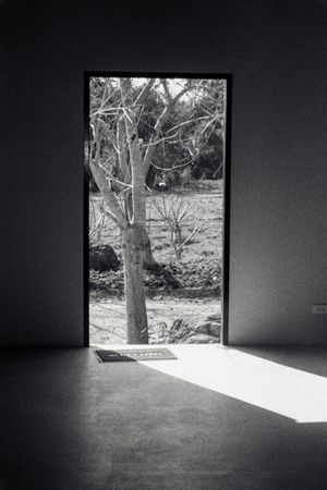 ( Soft Continuum)