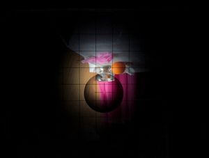 Biennial Icelandic Photography Festival 2025