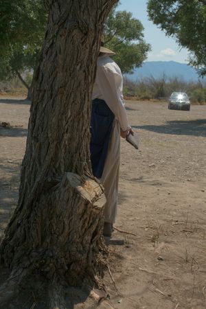 Mormon Trail