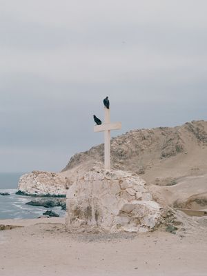 The Bitter sea