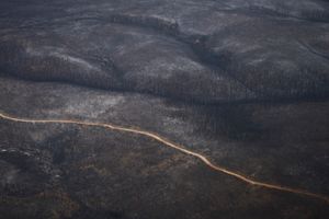 Australian Apocalypse: The Consequences of the Australian Bushfires