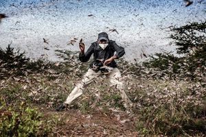 The Best Photography Festivals Open this October