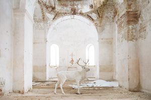 August's Photography Awards and Opportunities