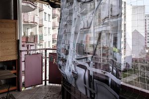 Betonia