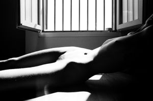 BODIES