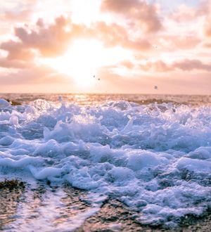 Wave Studies