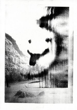 Torbola 31