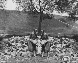 I saw a tree bearing stones in the place of apples and pears