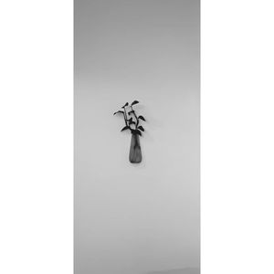 Roots in the wall