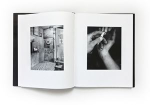 Matthew Genitempo’s Walk in the Woods