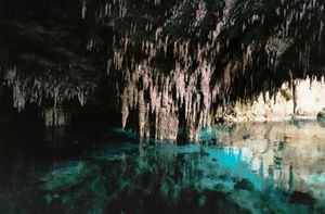 Cenote angels