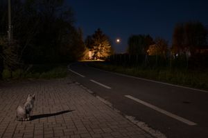 NYM