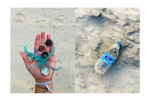 The Sea Inventory