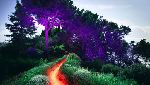 From Portofino By Night by Alejandro Chaskielberg, Portofino Dry Gin Resident 2021