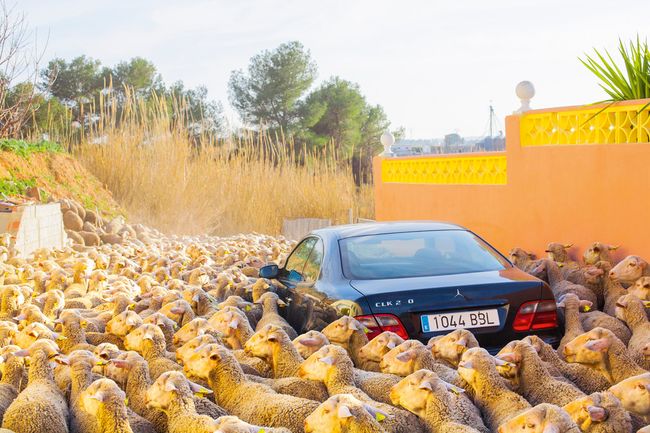 © Ricardo Cases - Image from the El Porqué de las Naranjas (The mechanics of chaos) photography project