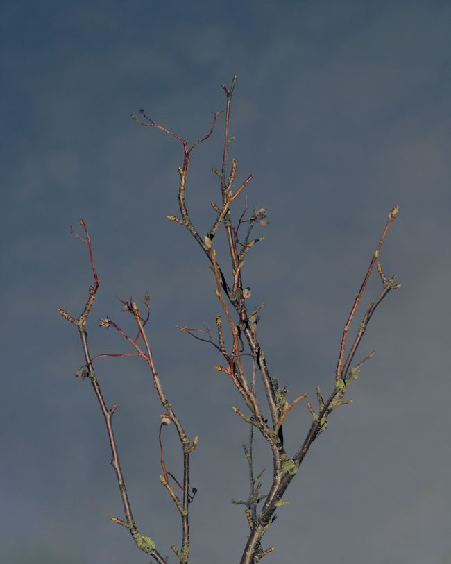 © Moa Linnea Matilda Nyberg - Image from the Seemingly Sound photography project